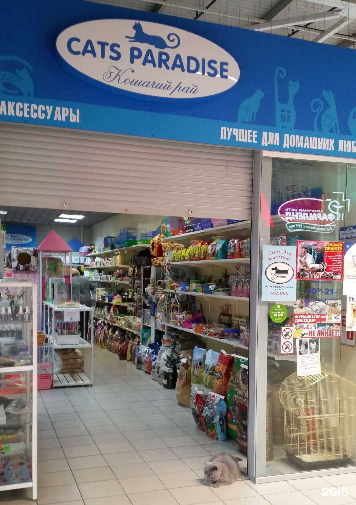 Отзывы на компанию Cats Paradise в Челябинске c фото