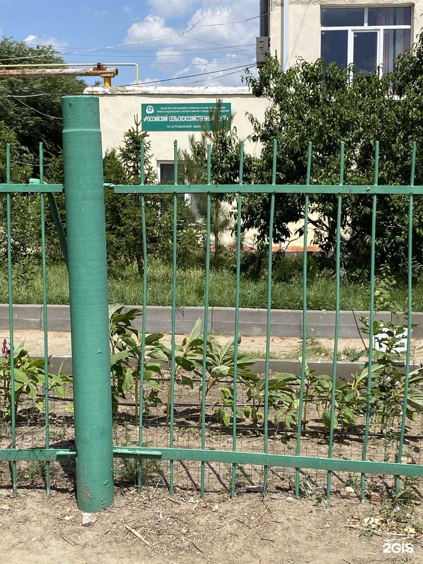 Отзывы на компанию Россельхозцентр в г. Астрахань c фото