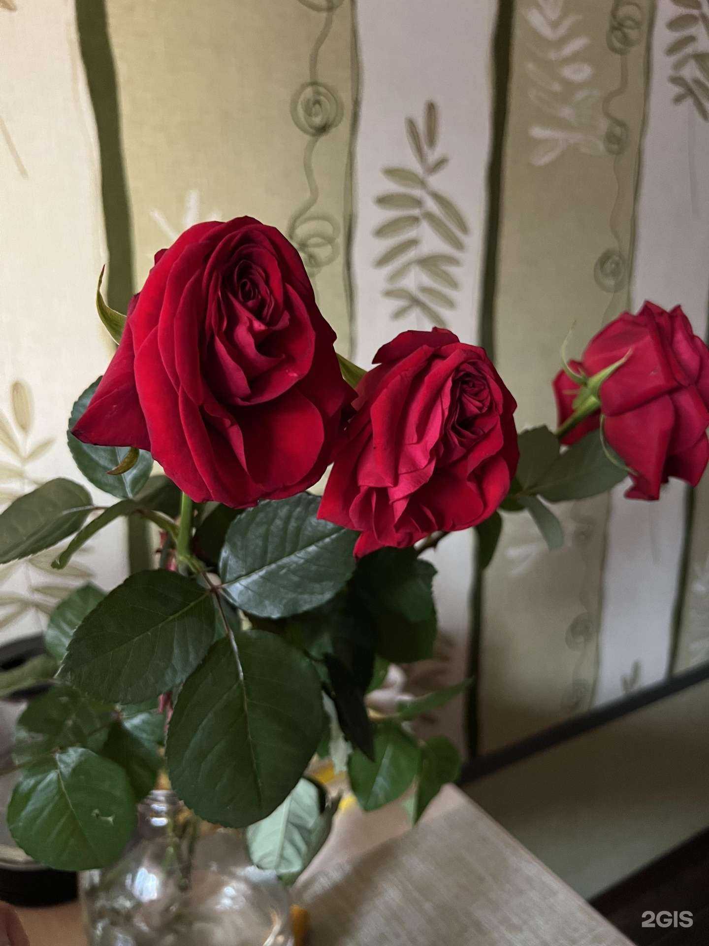 Отзывы на компанию Дари цветы в Омске c фото