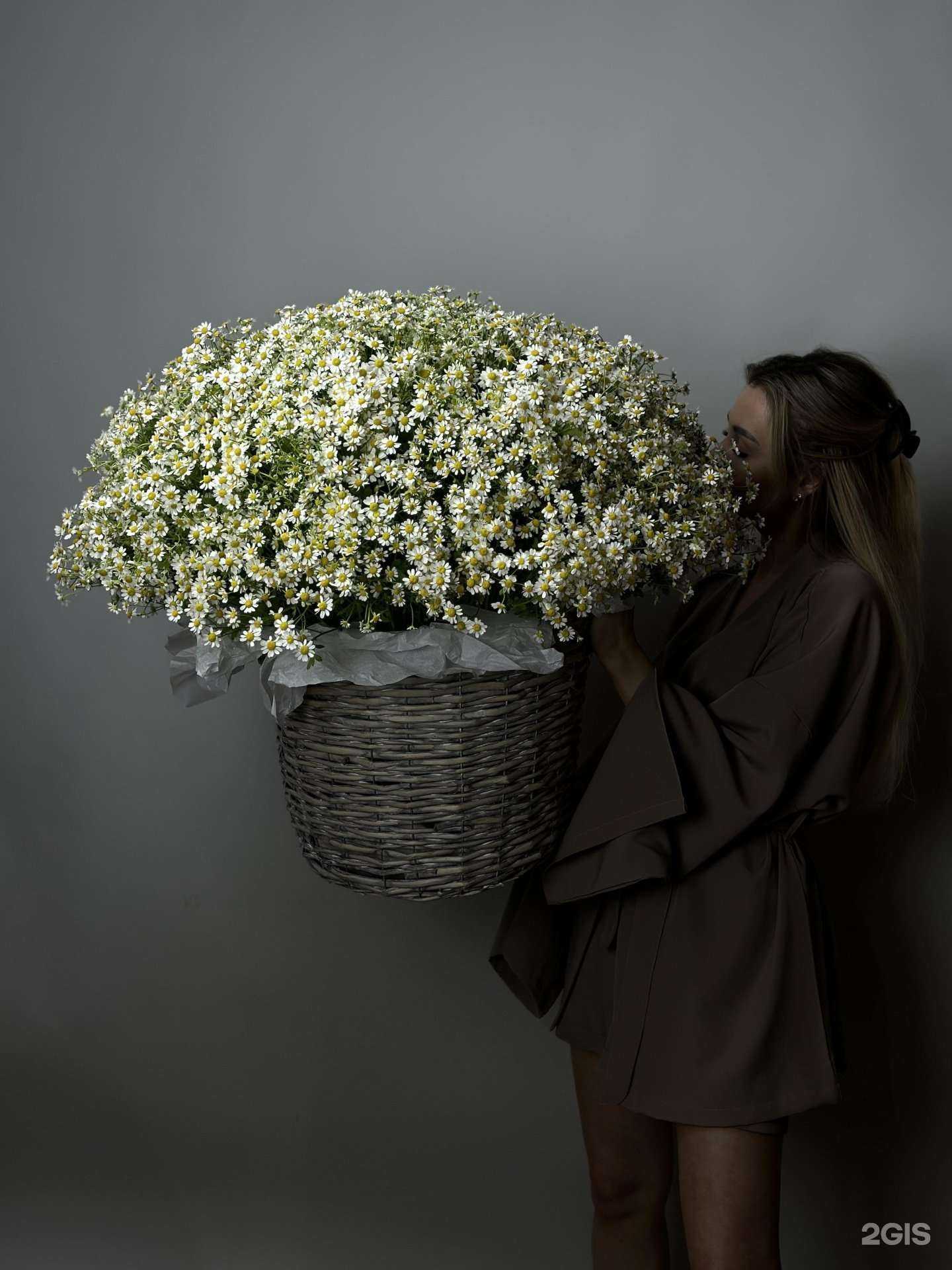 Отзывы на компанию Цена Одна в Владимире c фото