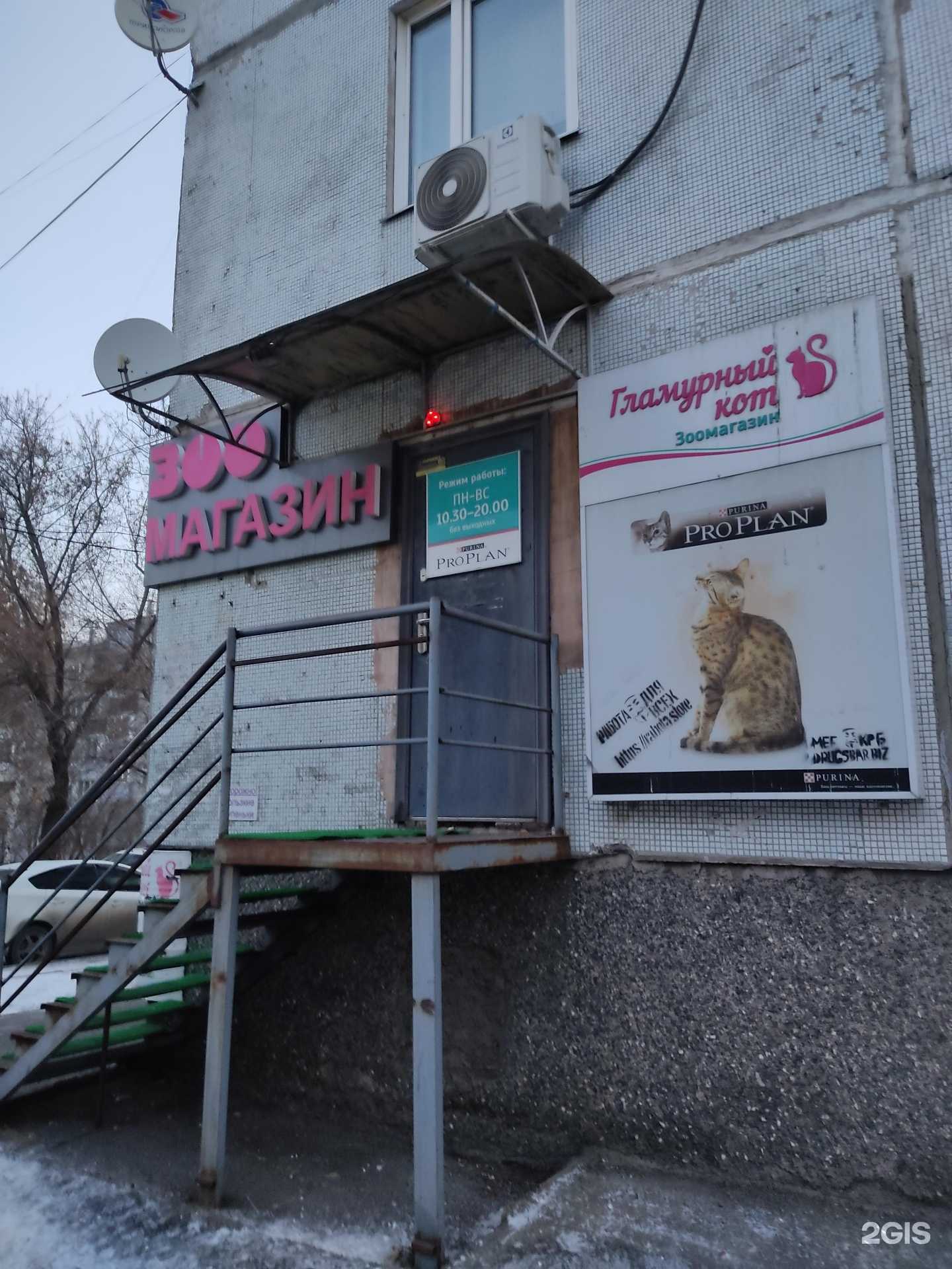 Отзывы на компанию Гламурный кот в г. Красноярск c фото