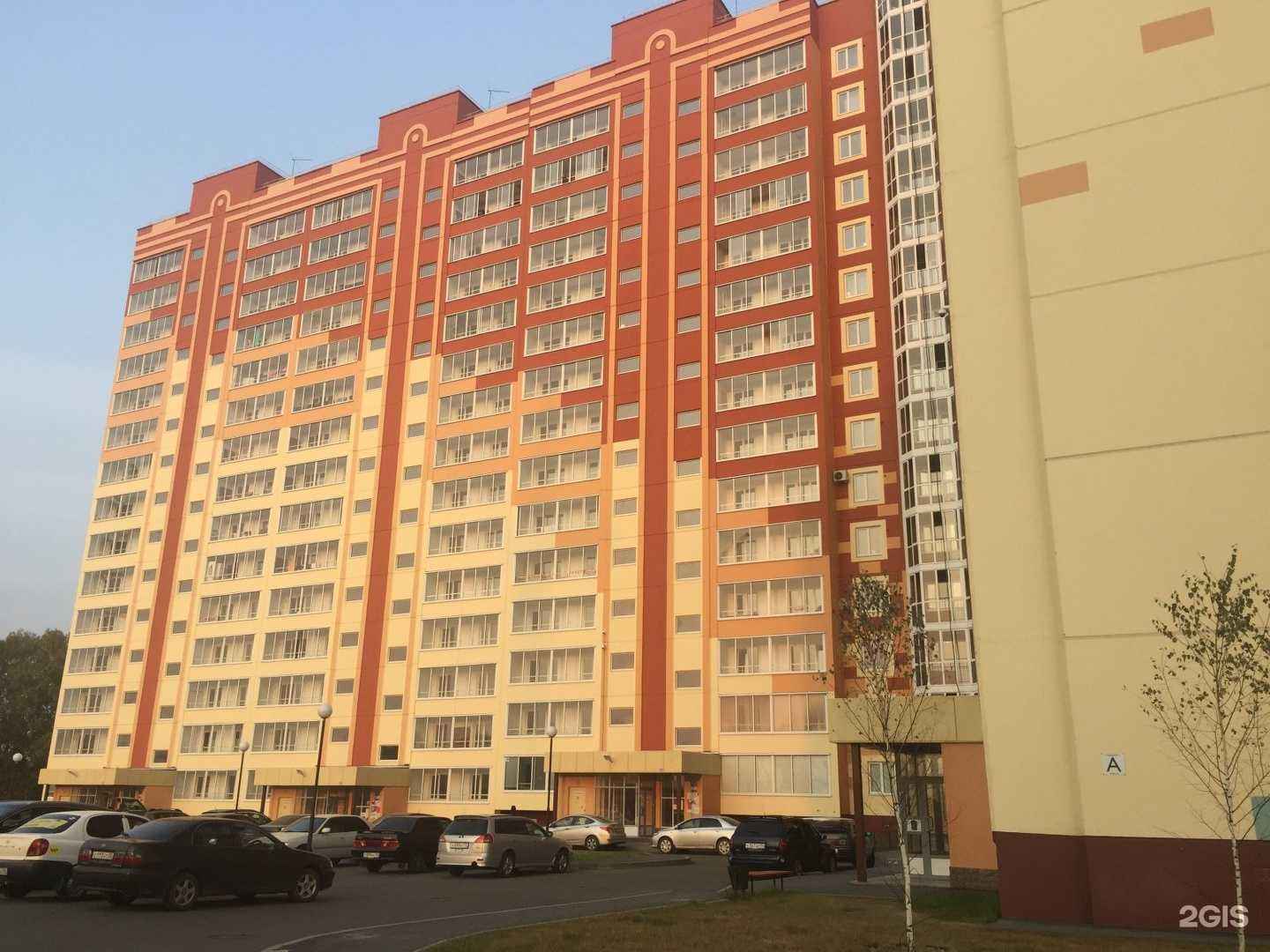 Отзывы на компанию Орхидея в Томске c фото - фотография 2 из 2