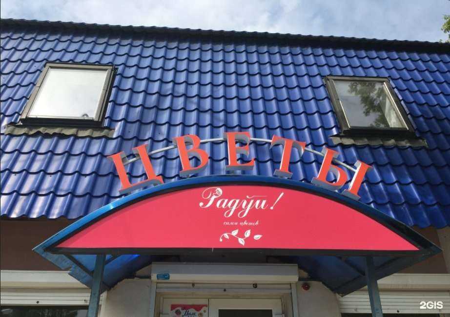 Отзывы на компанию Звезда в Саратове c фото - фотография 2 из 2