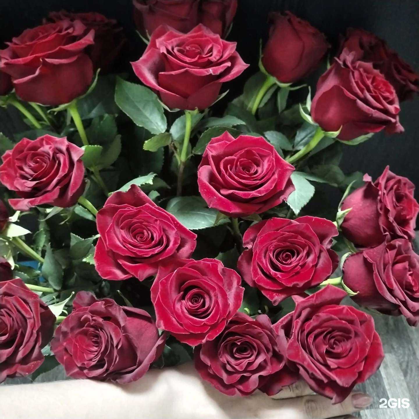 Отзывы на компанию Цветочный домик в Топках c фото