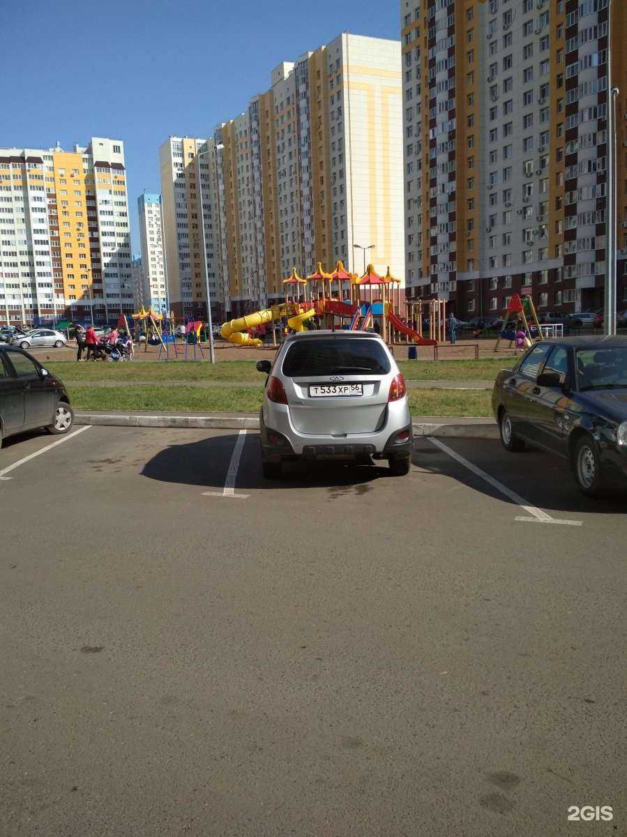 Отзывы на компанию Ветеринария в Оренбурге c фото - фотография 2 из 2