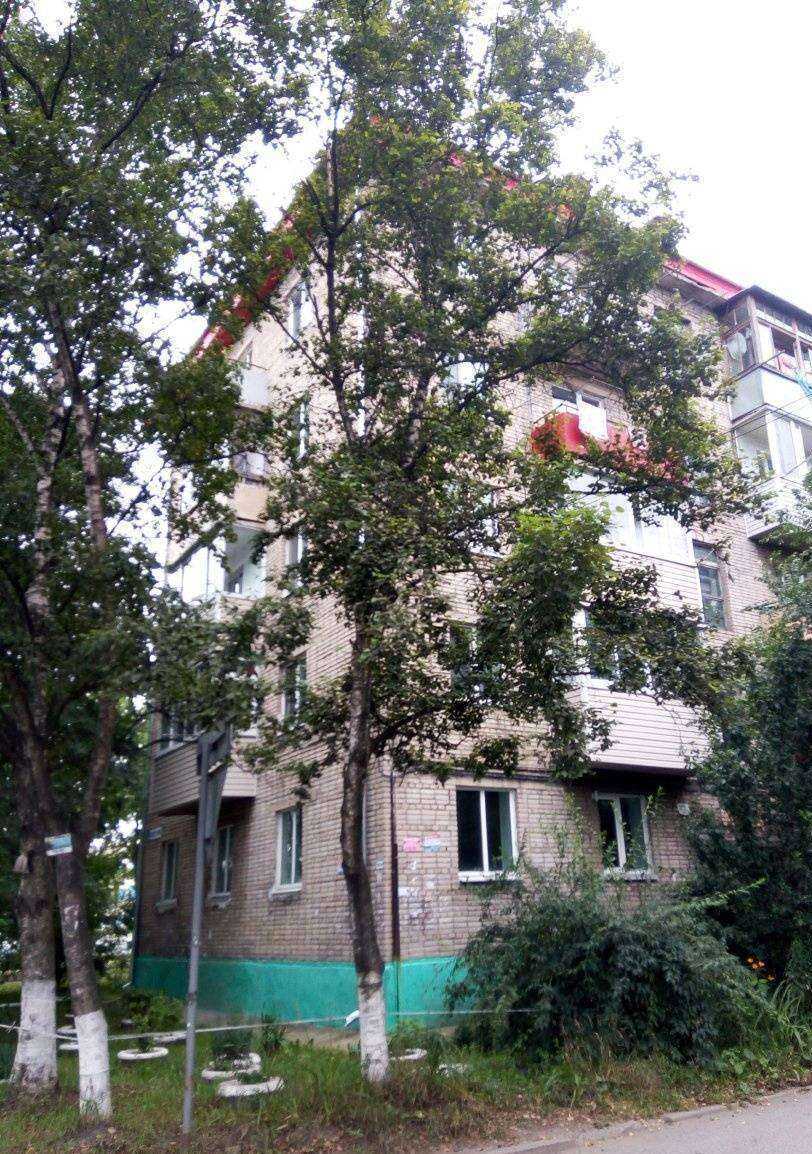 Отзывы на компанию Семейный доктор в Находке c фото - фотография 2 из 2