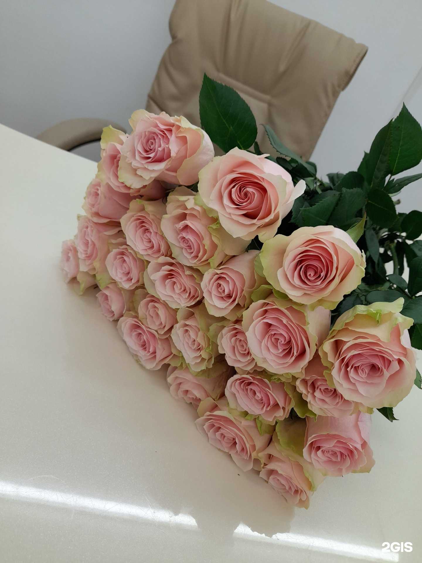 Отзывы на компанию Ромашка в Барнауле c фото