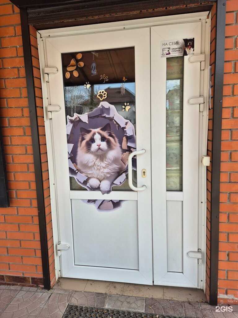 Отзывы на компанию Кошкин дом в Новокуйбышевске c фото