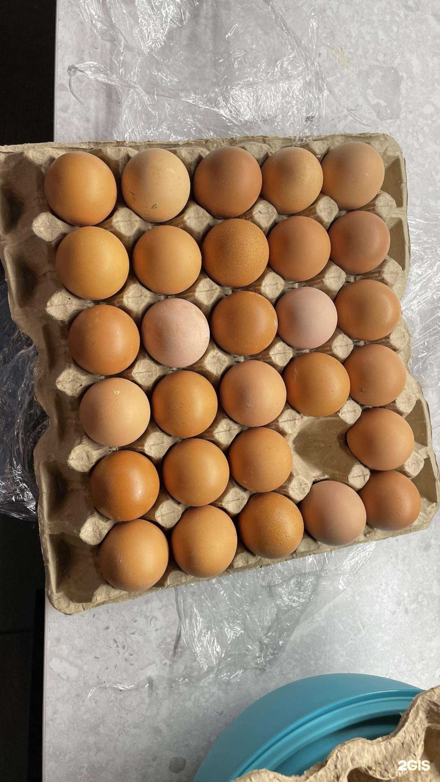 Отзывы на компанию Чебаркульская птица в Челябинске c фото