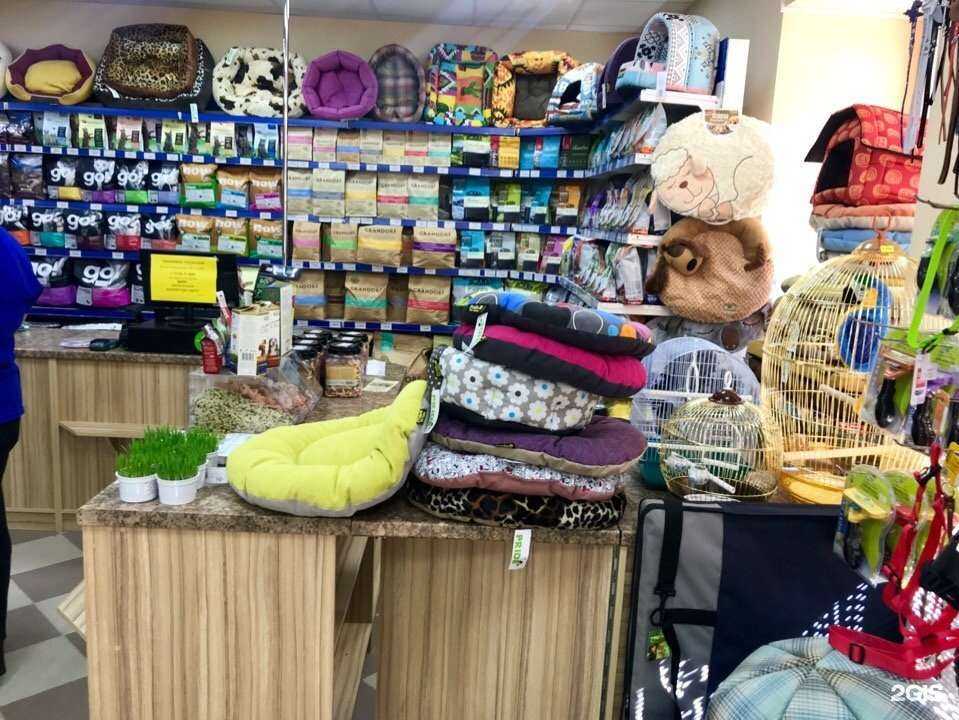 Отзывы на компанию Кот и пёс в г. Калуга c фото