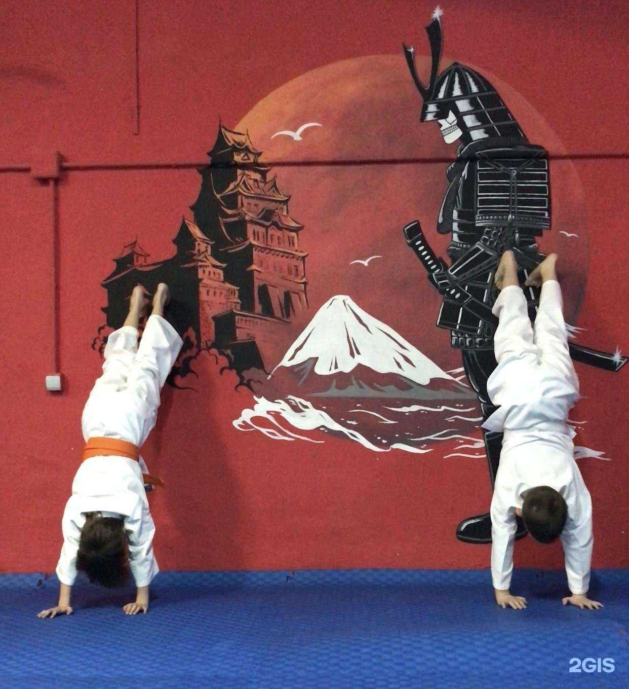 Отзывы на компанию KochnevDojo в Самаре c фото