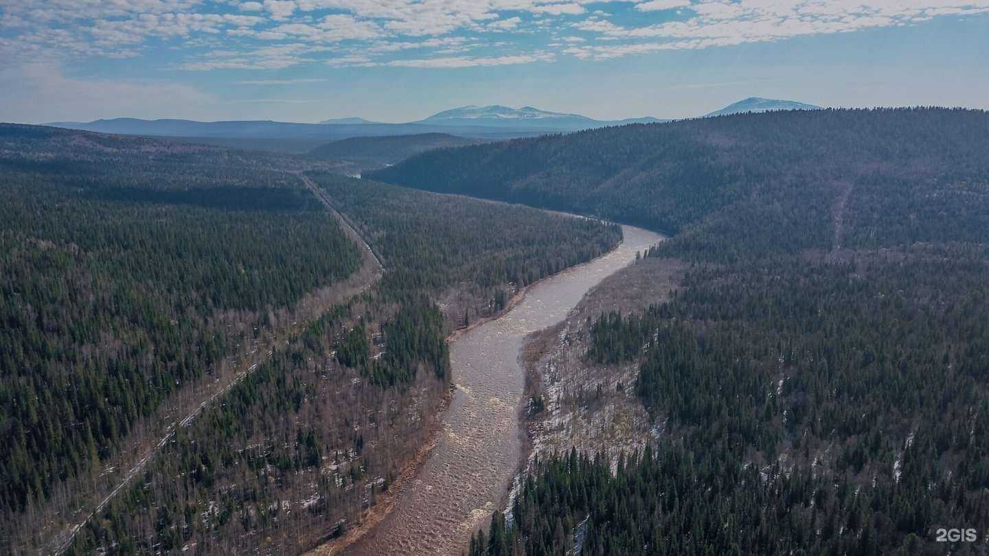 Отзывы на компанию Ёлки Hotel в Губахе c фото