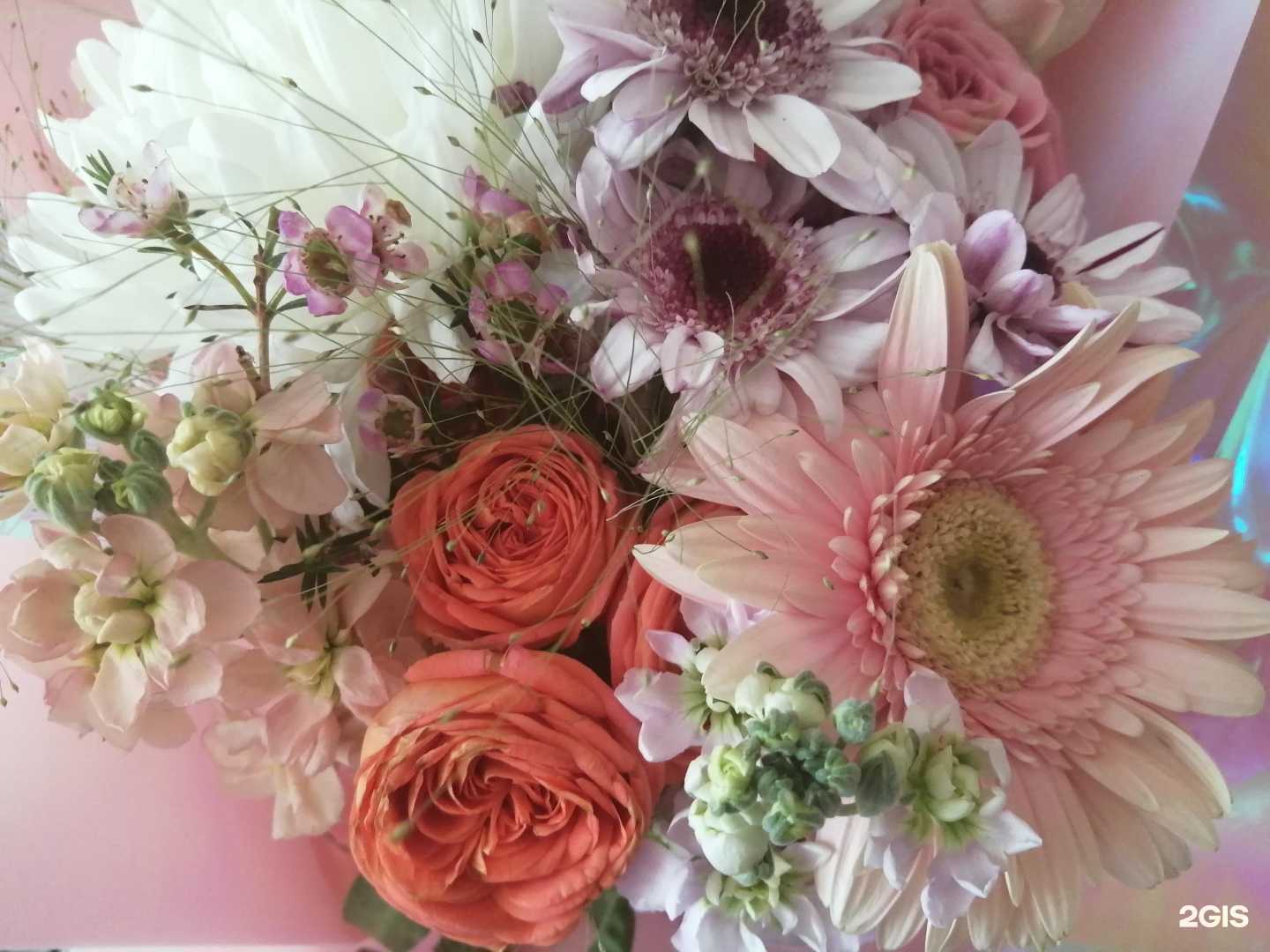 Отзывы на компанию Красная шапочка в Богородске c фото - фотография 2 из 2