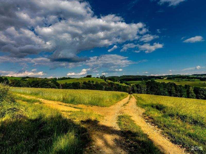 Отзывы на компанию Fedeco в Липецке c фото