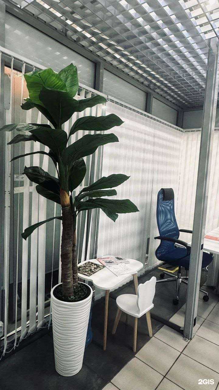 Отзывы на компанию Pegas Touristik в Казани c фото