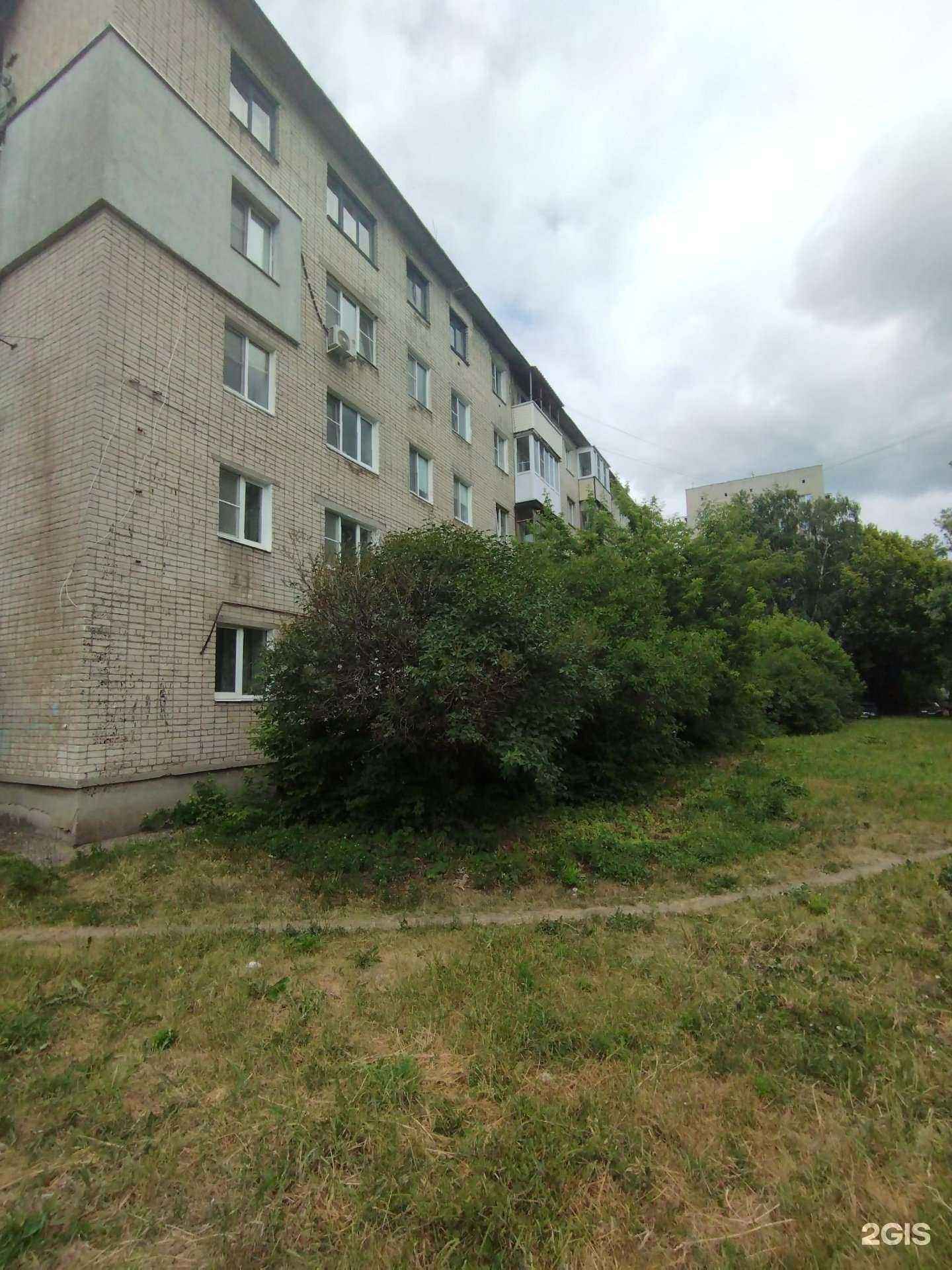 Отзывы на компанию Lavanda в Боре c фото - фотография 2 из 2