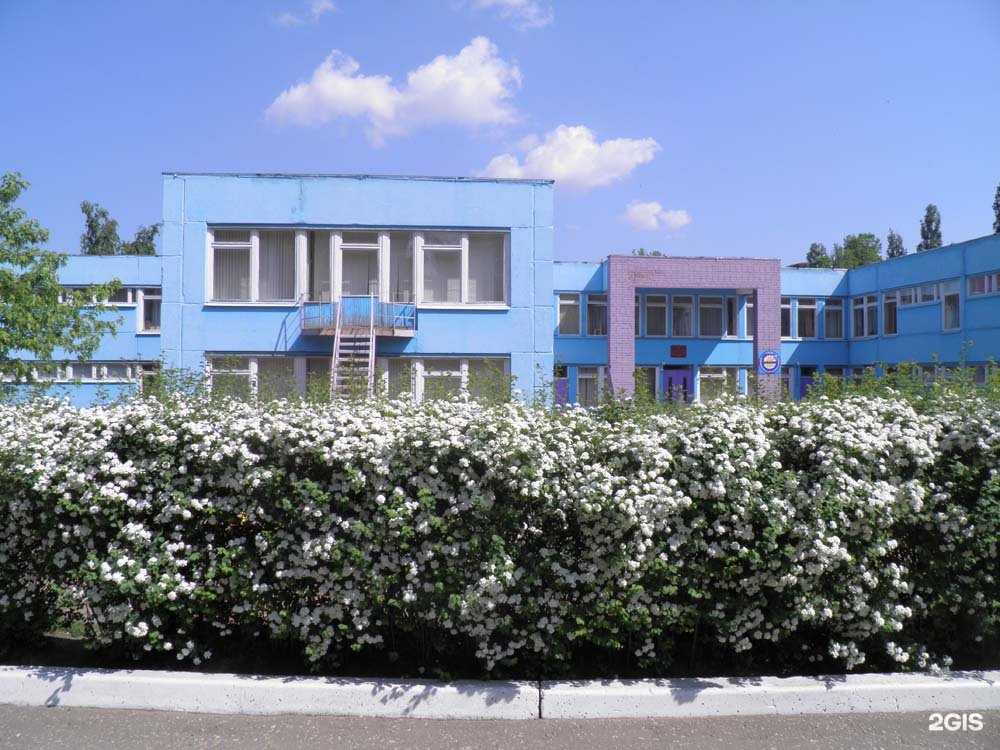 Отзывы на компанию Детский сад №169 в Воронеже c фото