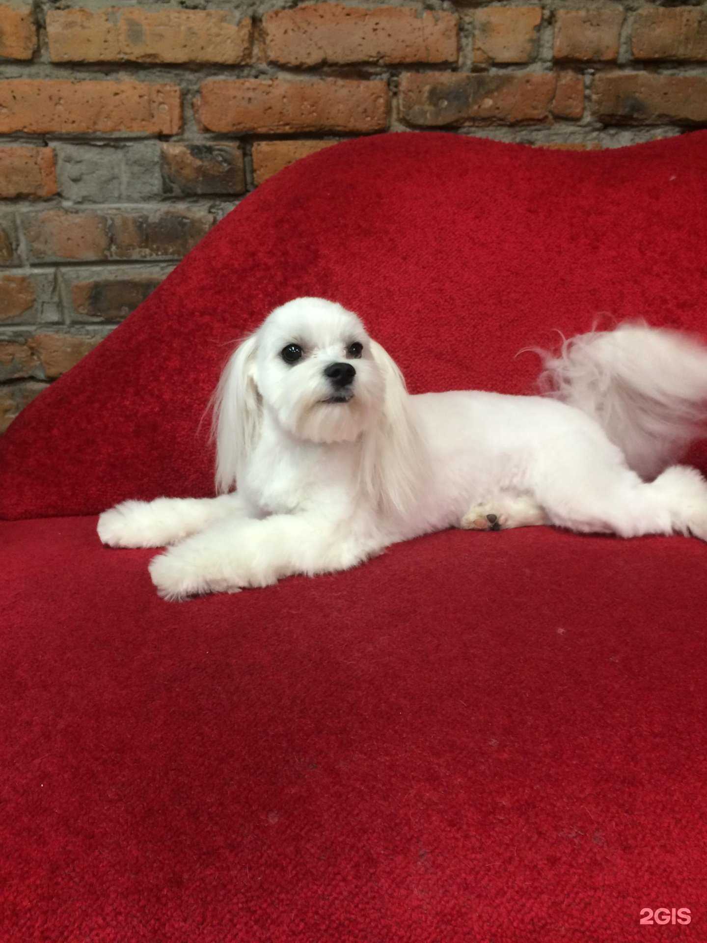 Отзывы на компанию Авва в г. Новосибирск c фото