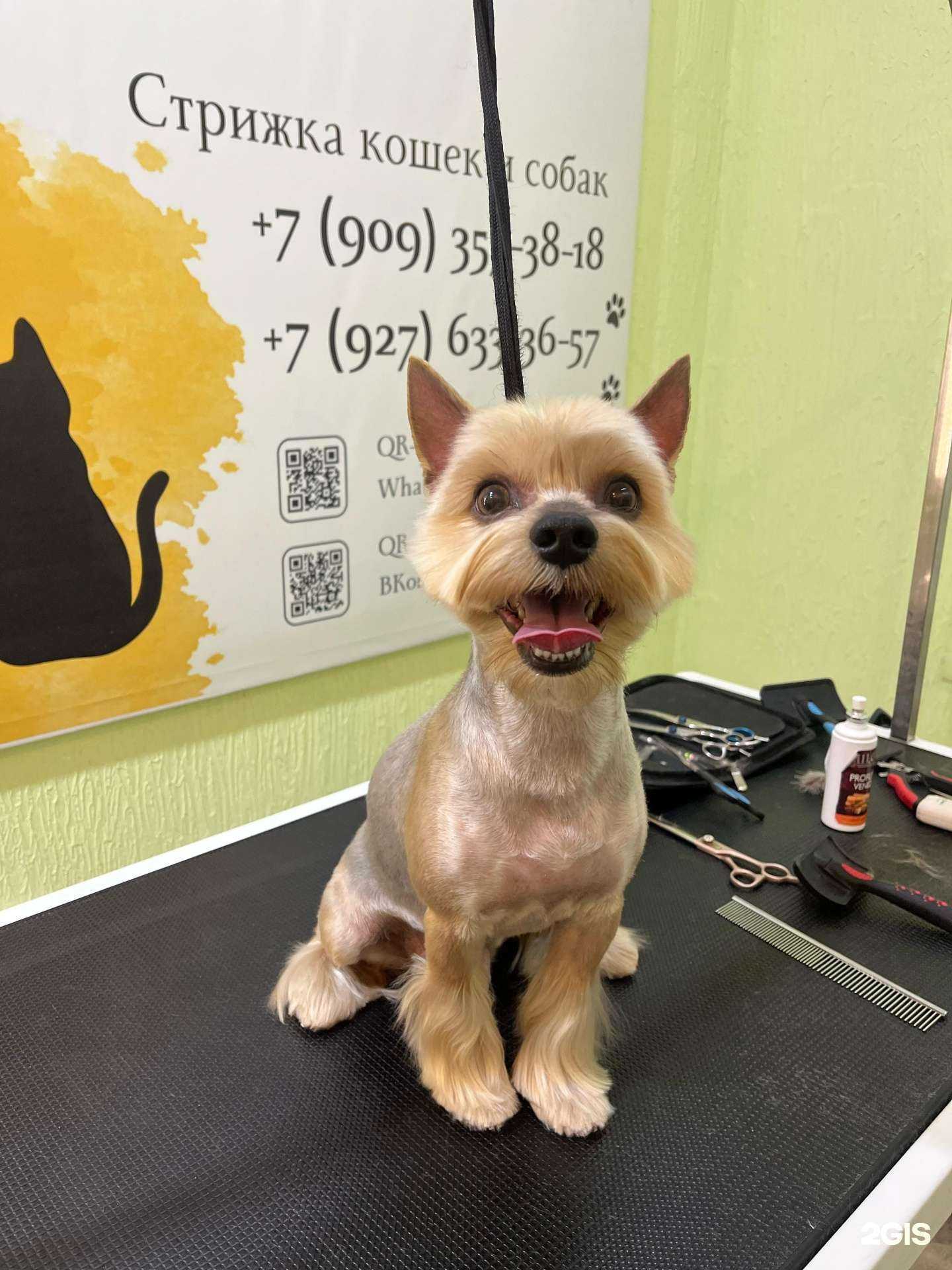 Отзывы на компанию Тётя Боня в Димитровграде c фото