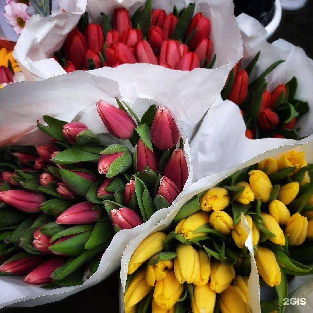 Отзывы на компанию Оазис в г. Чита c фото