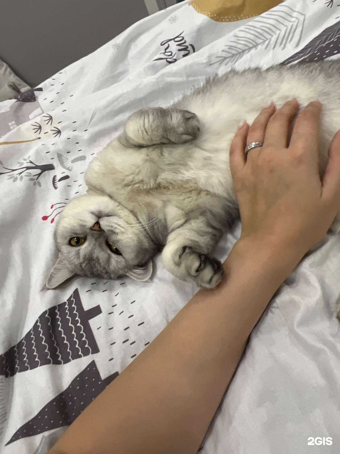 Отзывы на компанию Айболит в Орле c фото