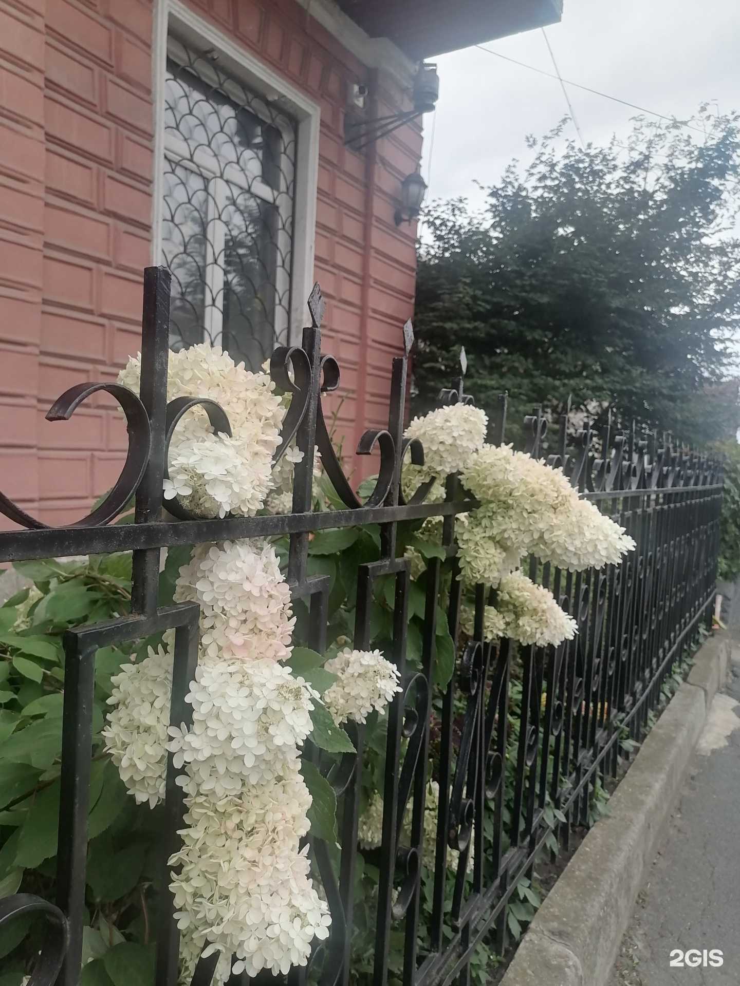 Отзывы на компанию Продвижение в г. Владивосток c фото