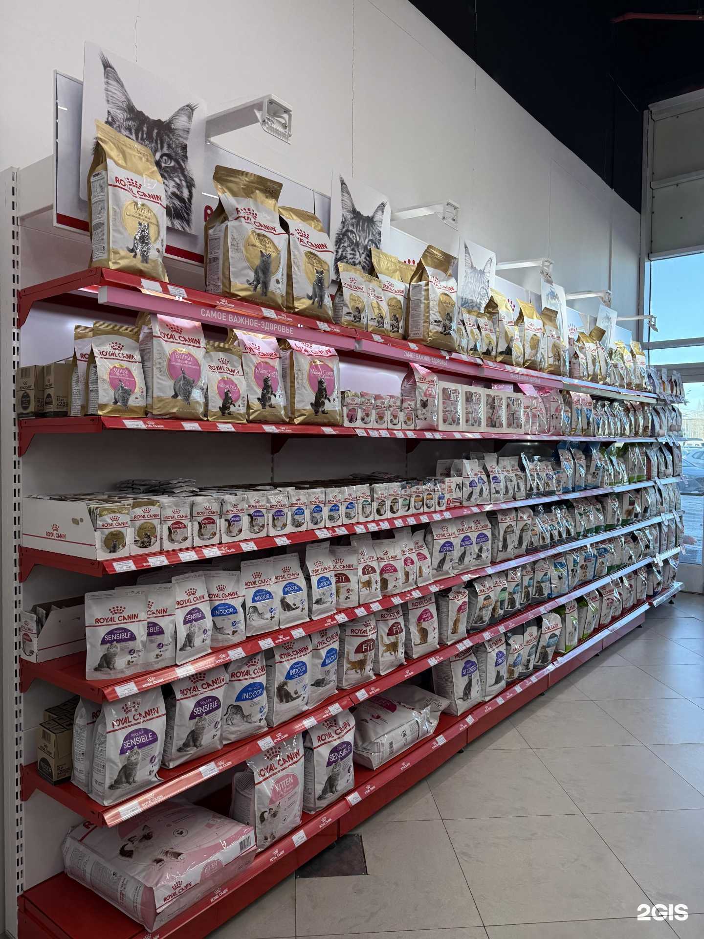 Отзывы на компанию Космозоо в г. Архангельск c фото