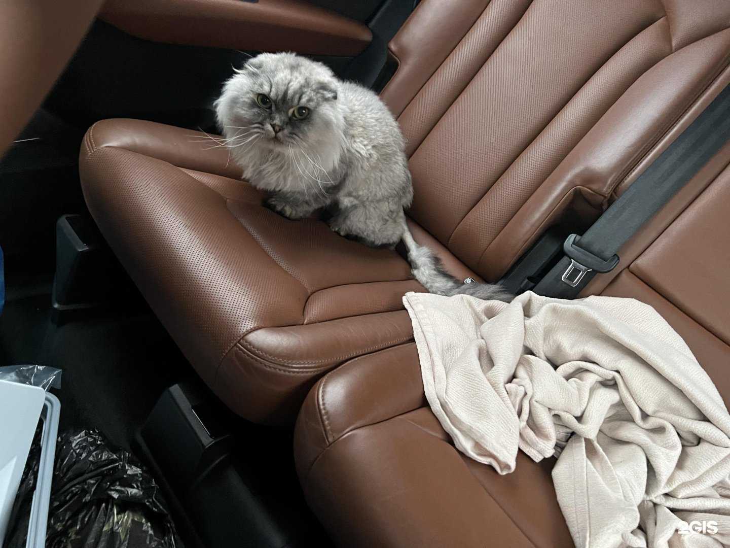 Отзывы на компанию VitaNova в г. Ставрополь c фото