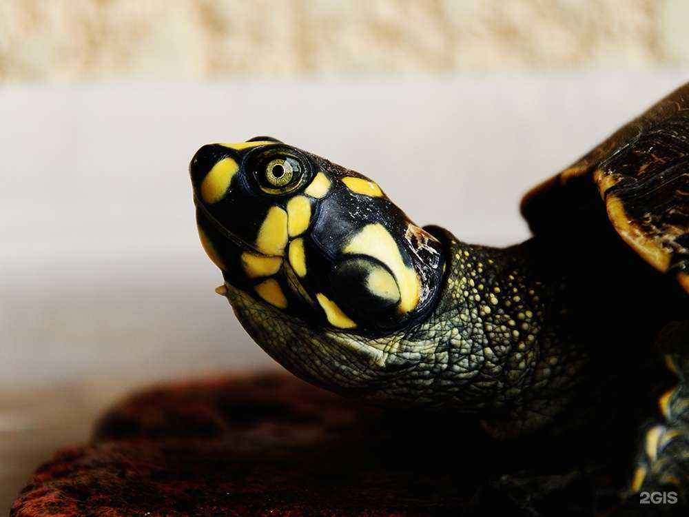 Отзывы на компанию Зоомагазин в г. Ленинск c фото