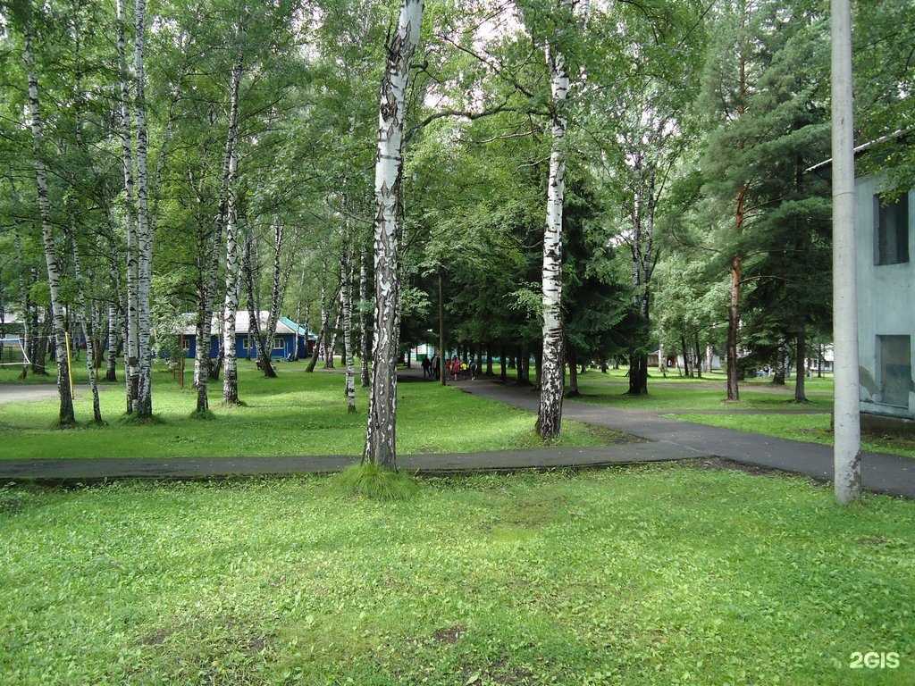 Отзывы на компанию Бунгурский в Новокузнецке c фото