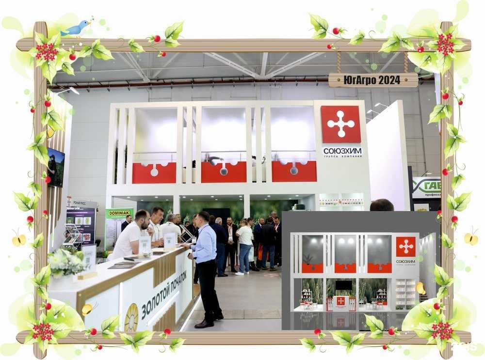 Отзывы на компанию Элитэкспострой в Краснодаре c фото