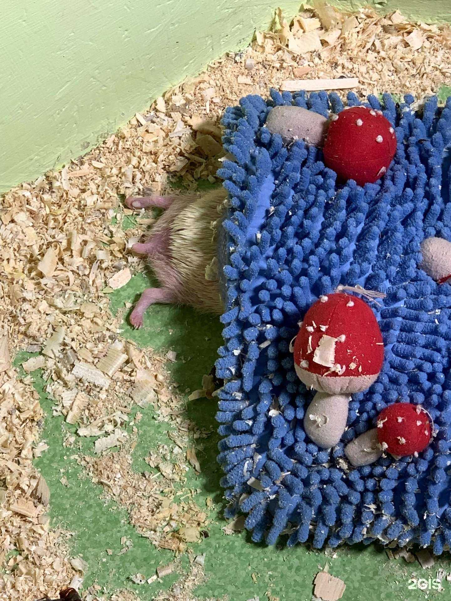 Отзывы на компанию Детская экологическая станция в Новом Уренгое c фото - фотография 2 из 2