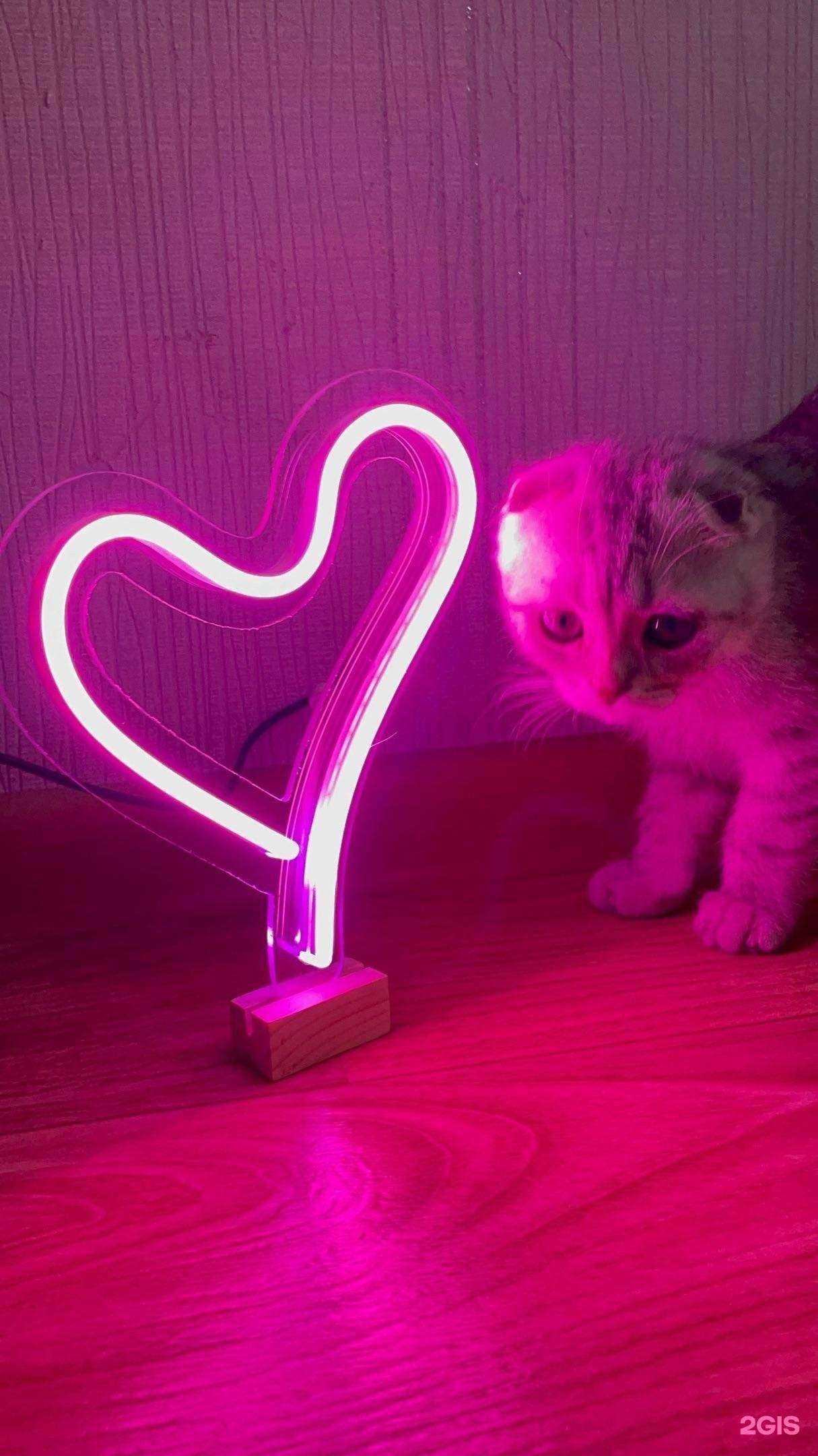 Отзывы на компанию Цех 13 в г. Магнитогорск c фото