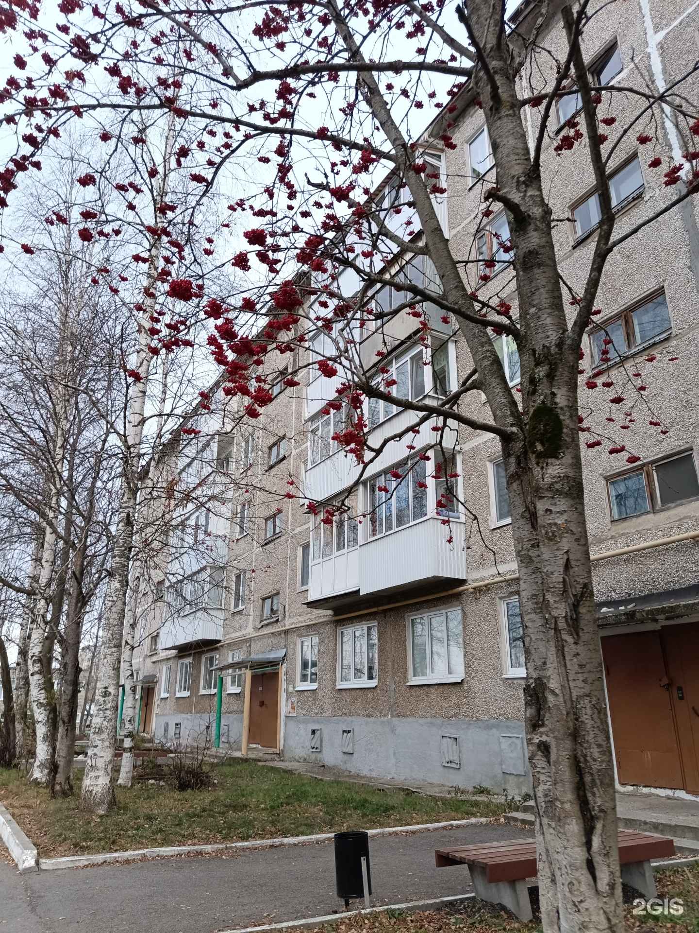 Отзывы на компанию Мира в Губахе c фото - фотография 2 из 2