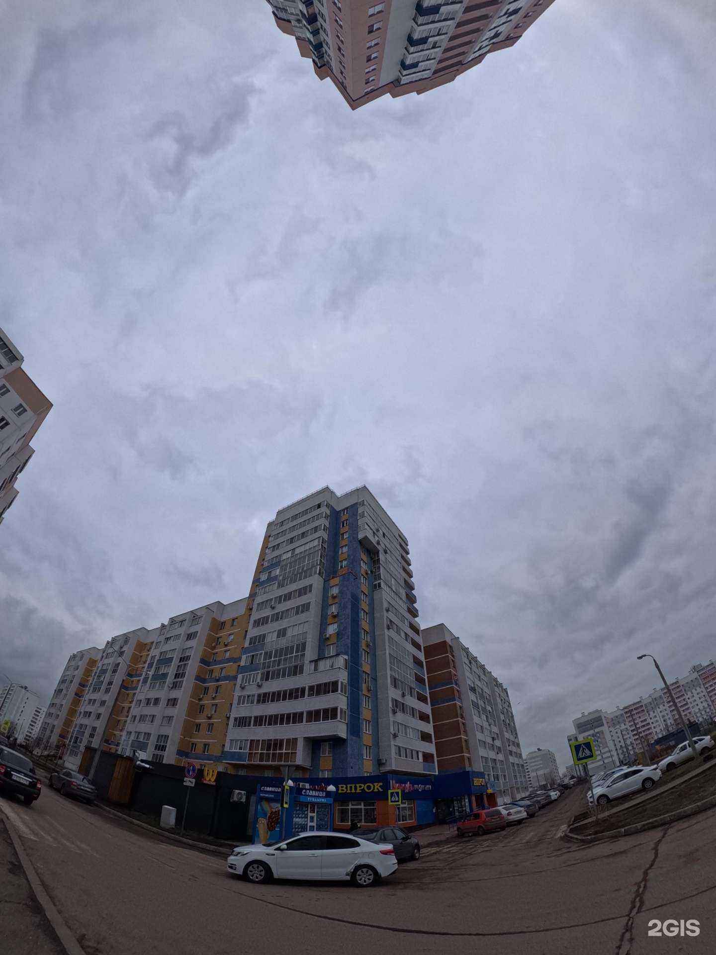 Отзывы на компанию 300кормов в Набережных Челнах c фото - фотография 2 из 2