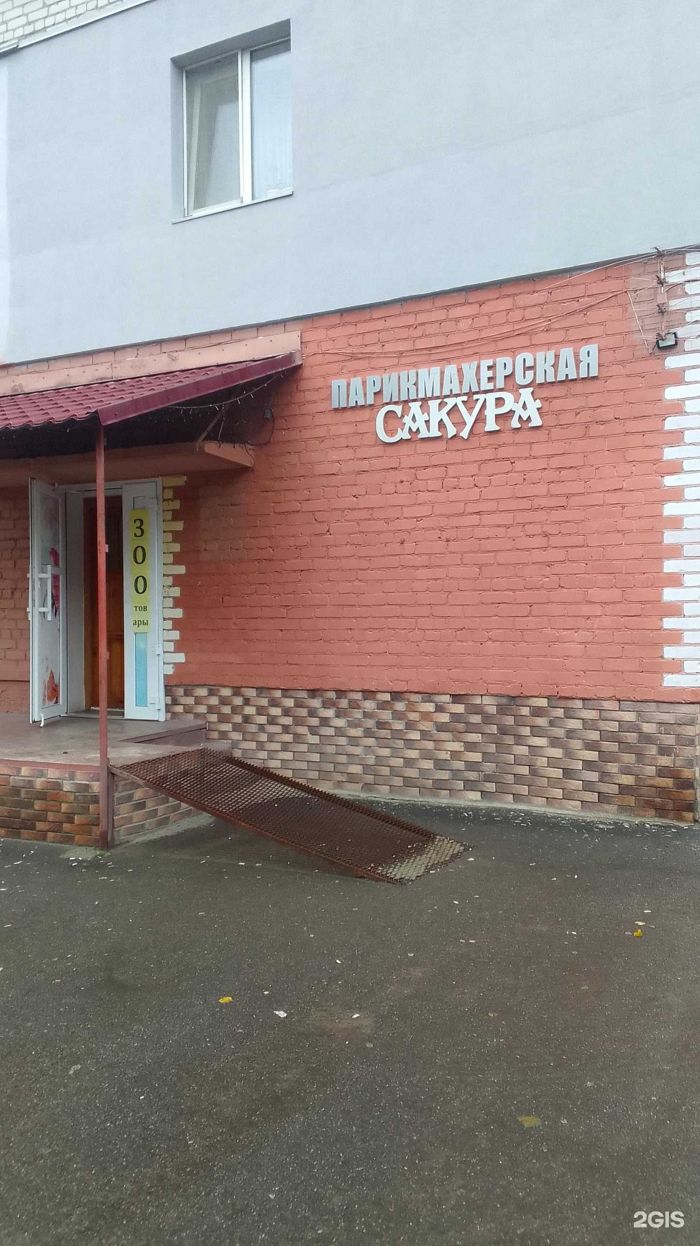 Отзывы на компанию Сакура в Брянске c фото