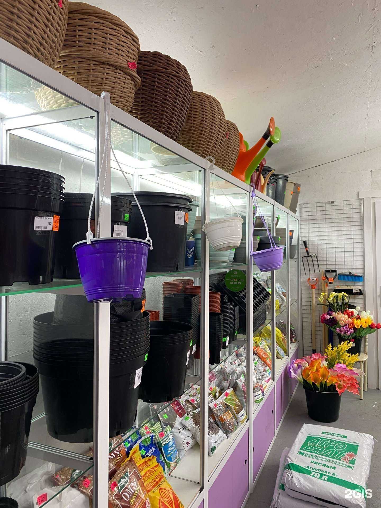 Отзывы на компанию Успех в Железногорске c фото