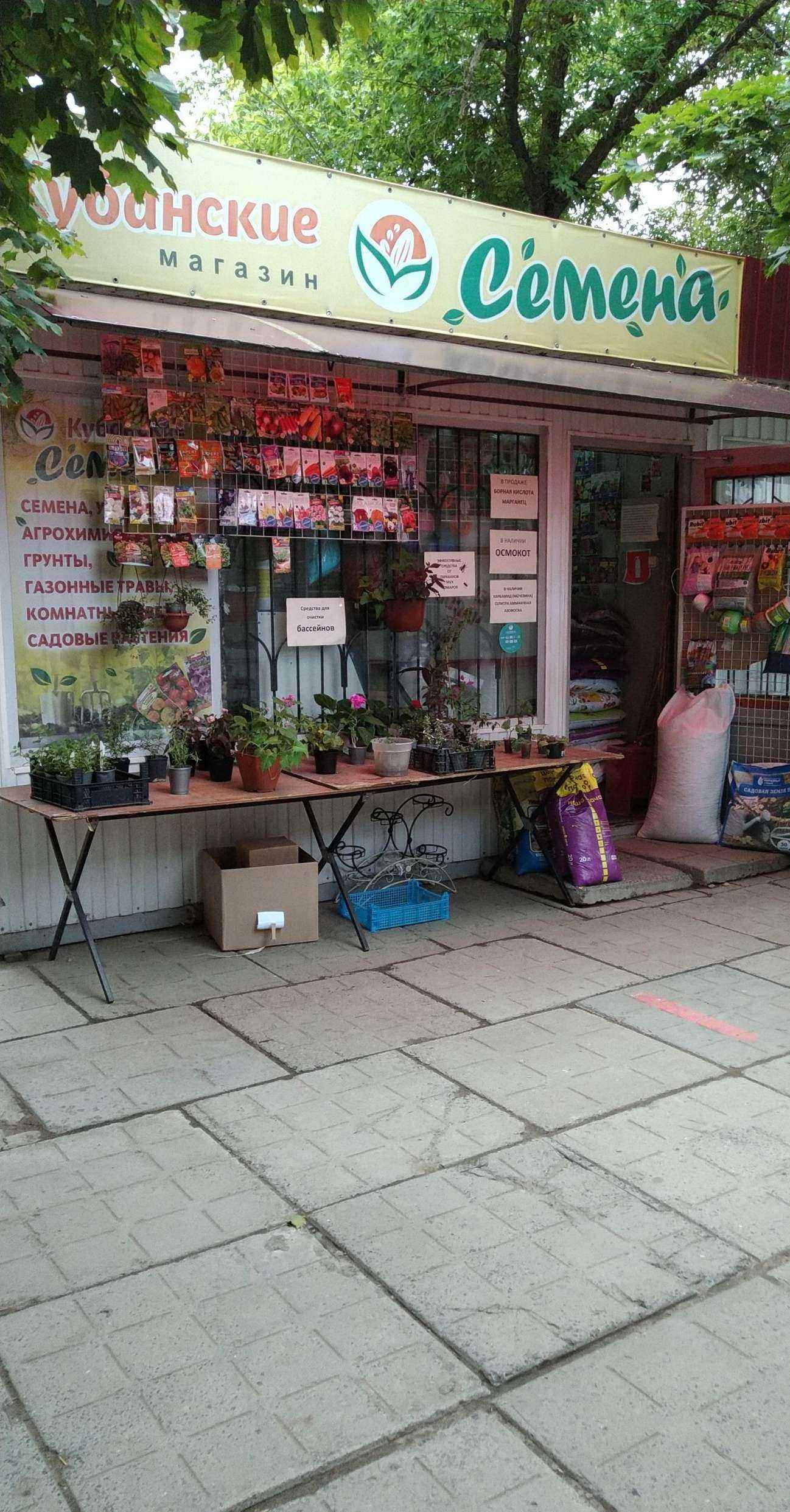 Отзывы на компанию Кубанские семена в г. Волгодонск c фото