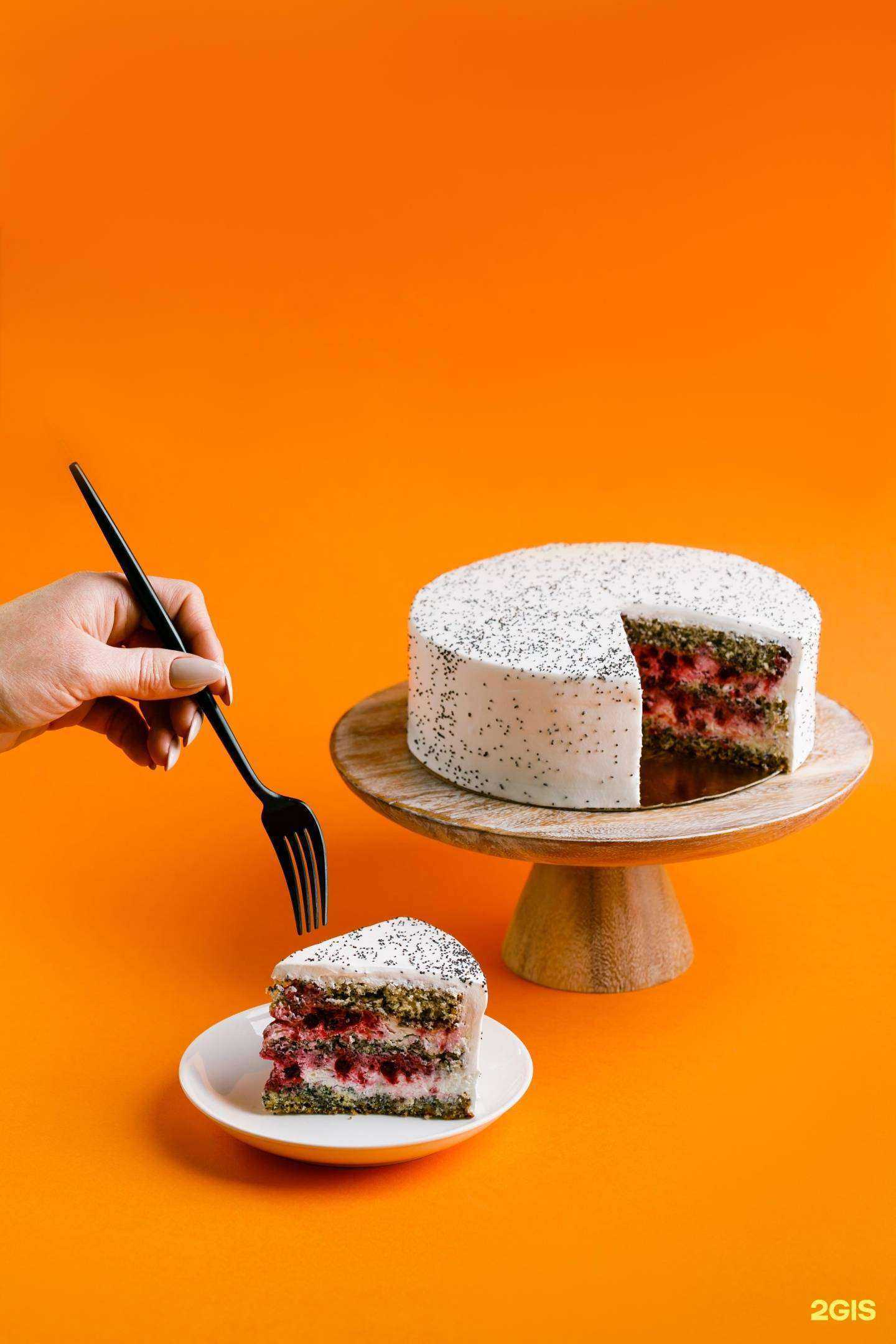 Отзывы на компанию Тесто в г. Томск c фото