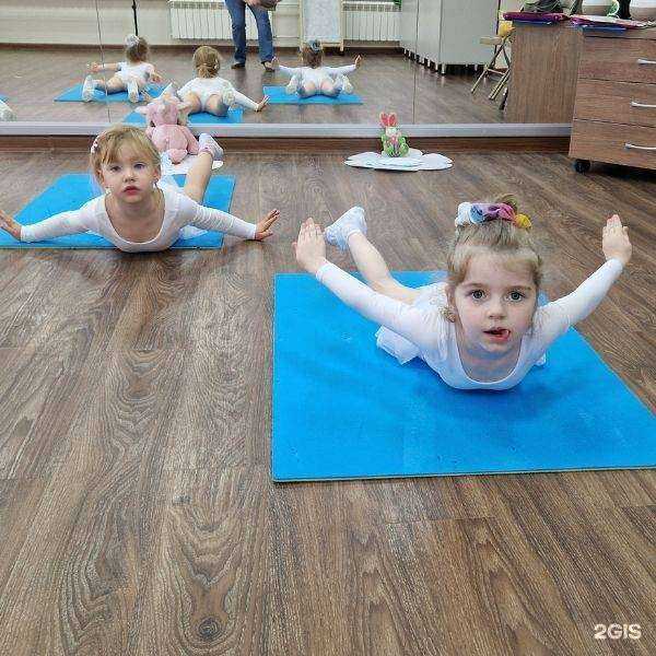 Отзывы на компанию Принцесса в г. Новосибирск c фото