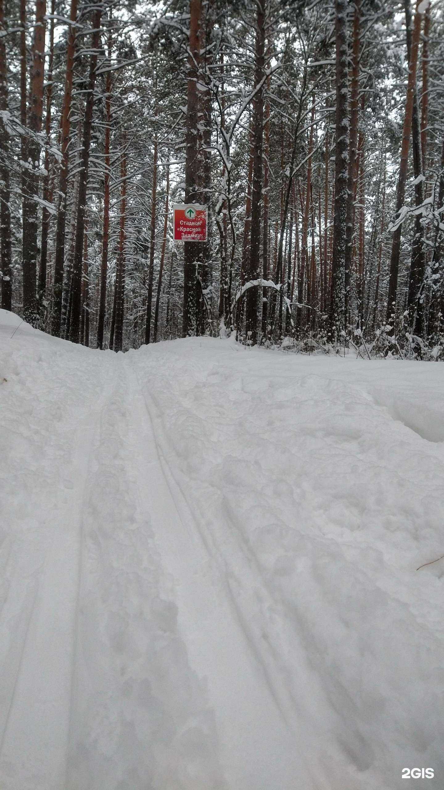 Отзывы на компанию Прокат спортивного инвентаря в Новосибирске c фото - фотография 2 из 2