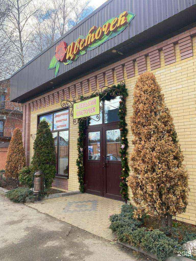 Отзывы на компанию Аленький цветочек в Новокубанске c фото