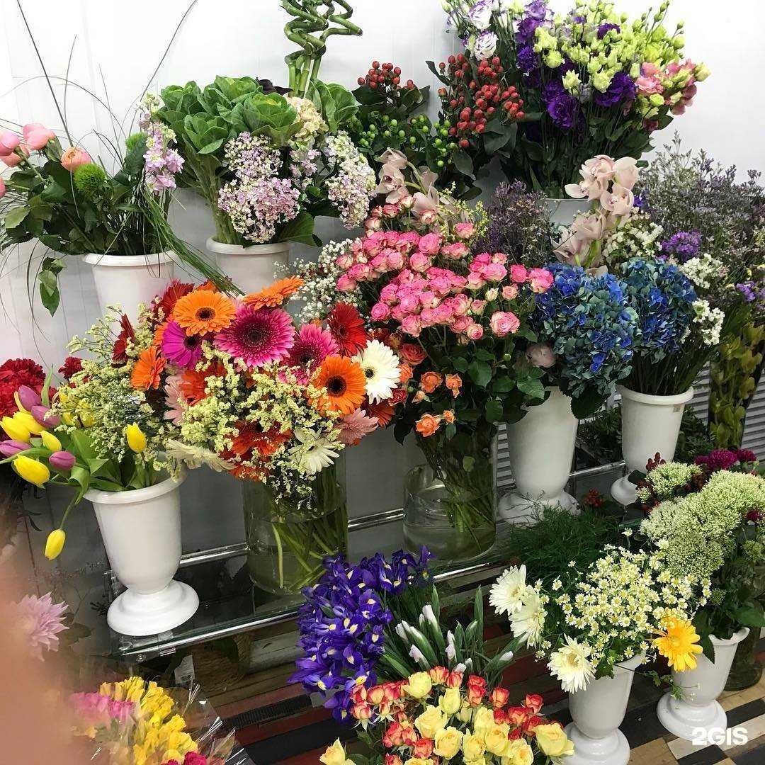 Отзывы на компанию Цветторг68 в Тамбове c фото