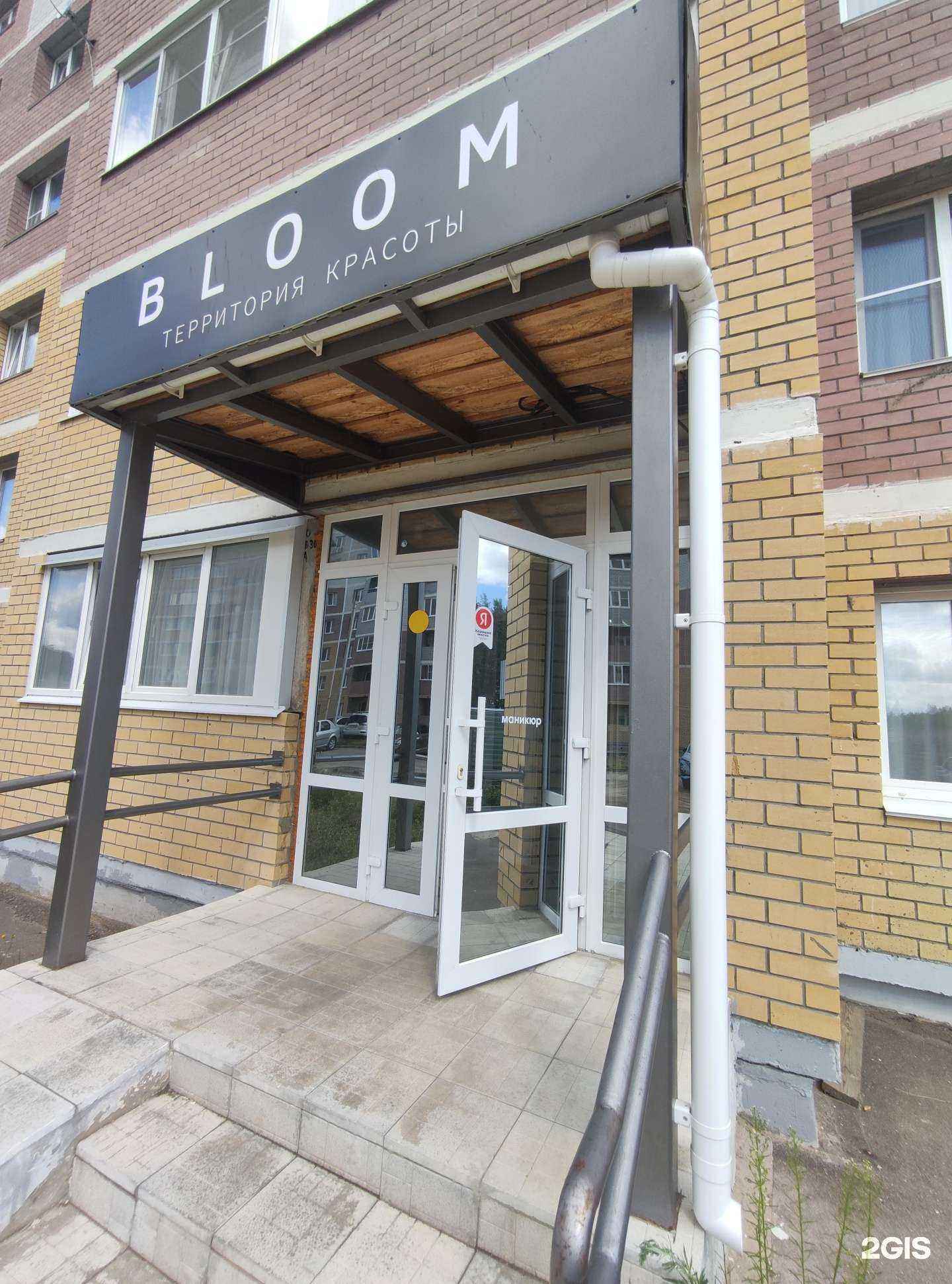 Отзывы на компанию Bloom в Коврове c фото