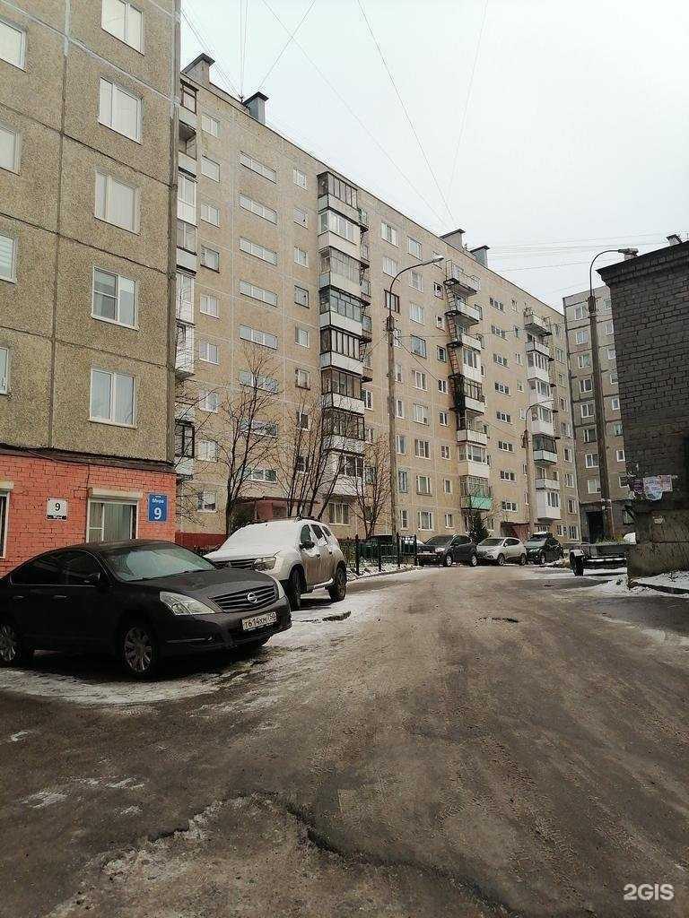 Отзывы на компанию Цветы Заполярья в Мурманске c фото - фотография 2 из 2