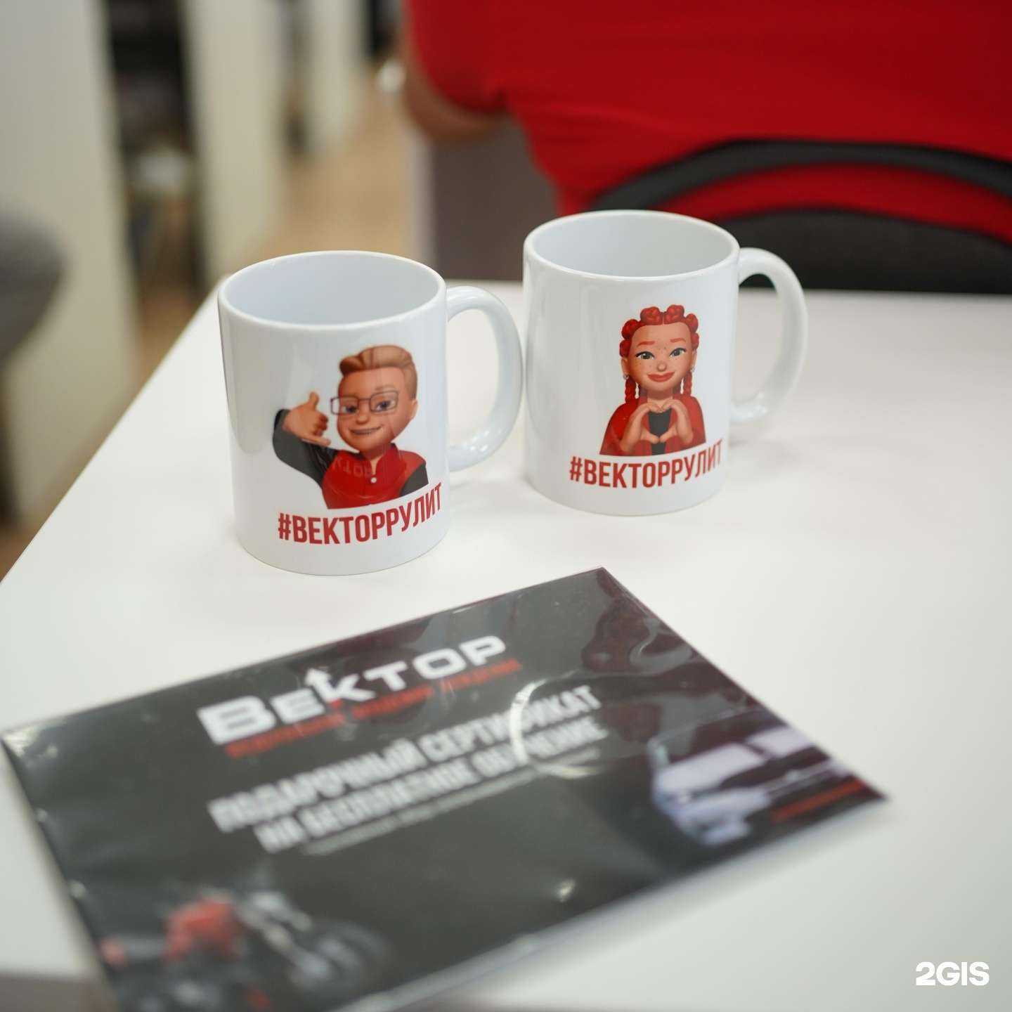 Отзывы на компанию Вектор в г. Калининград c фото