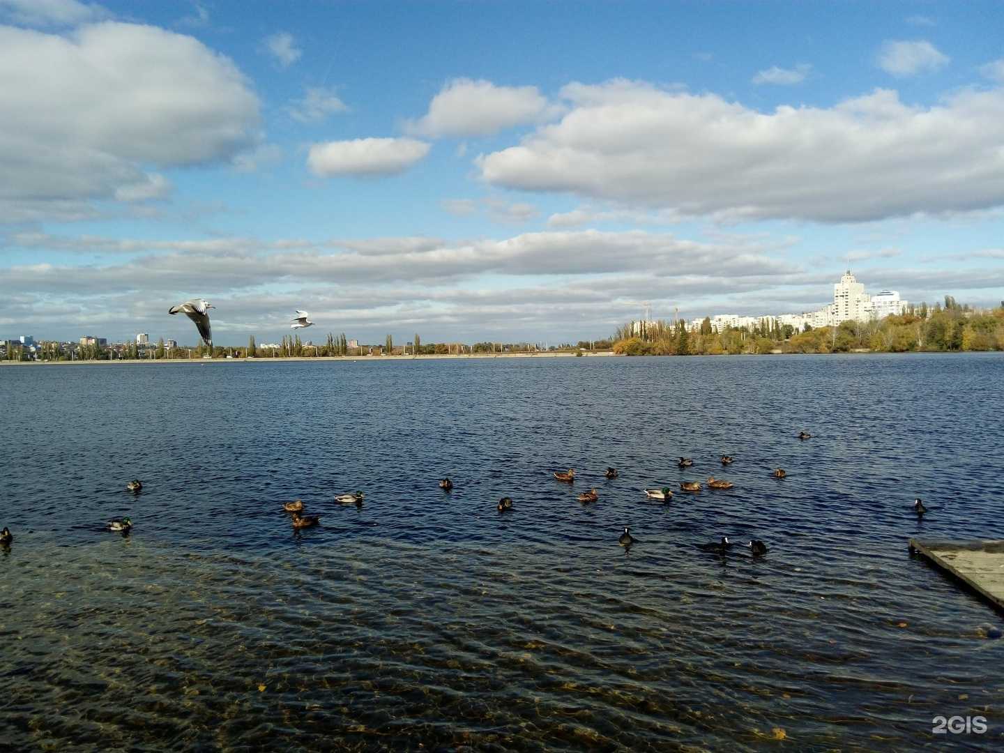 Отзывы на компанию Спортпрокат в г. Воронеж c фото