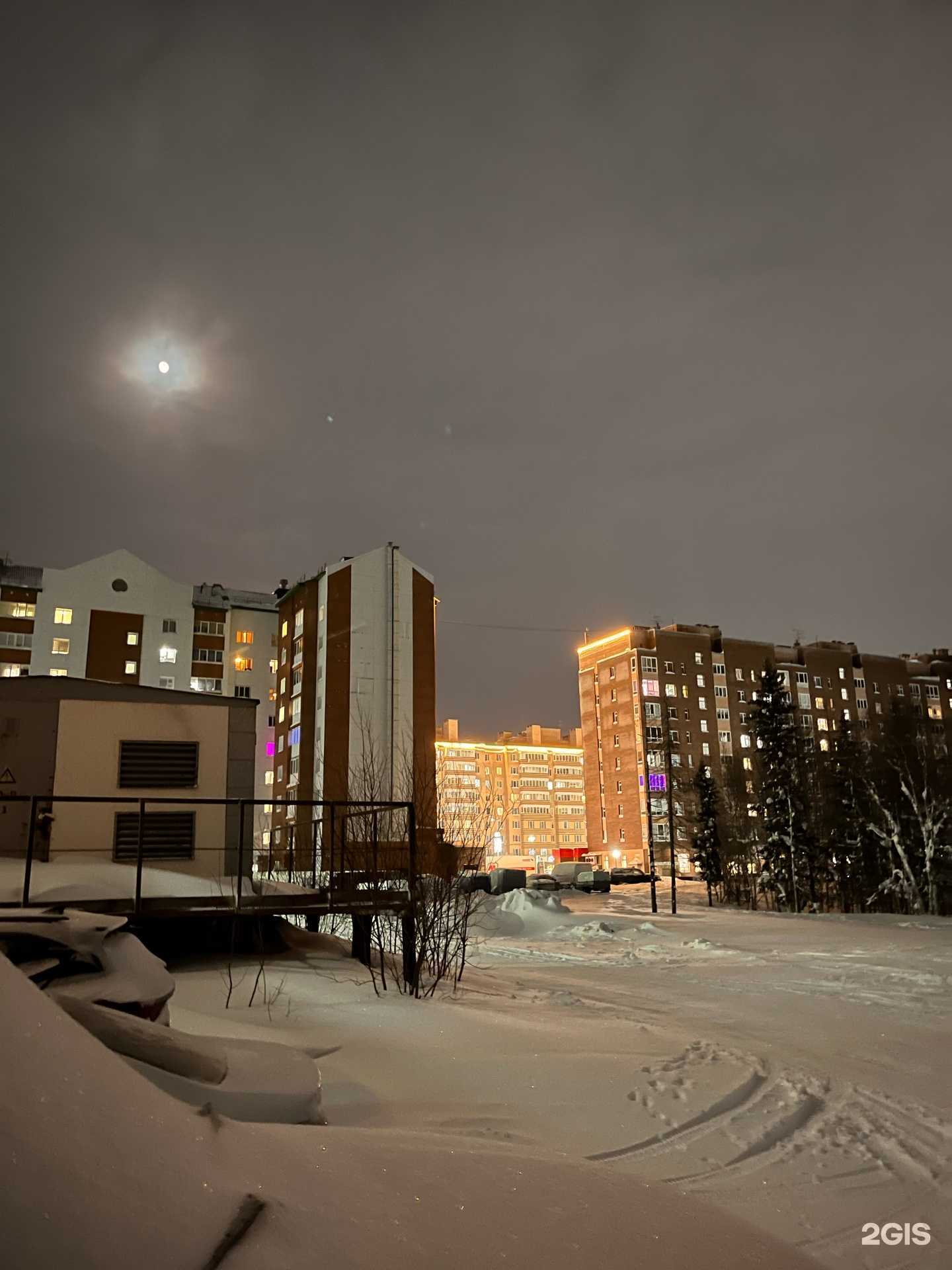 Отзывы на компанию Кедр в Новом Уренгое c фото