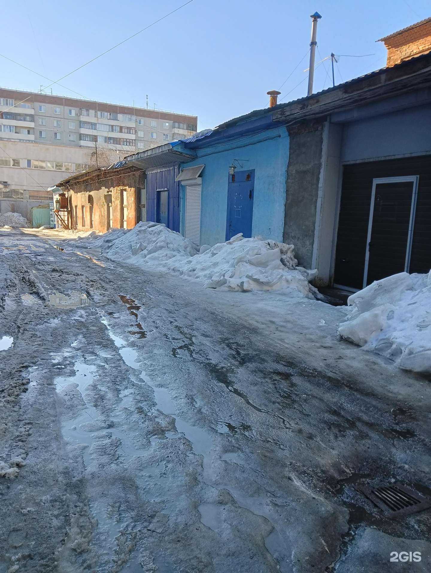 Отзывы на компанию Областной центр спортивно-служебного собаководства в Омске c фото - фотография 2 из 2