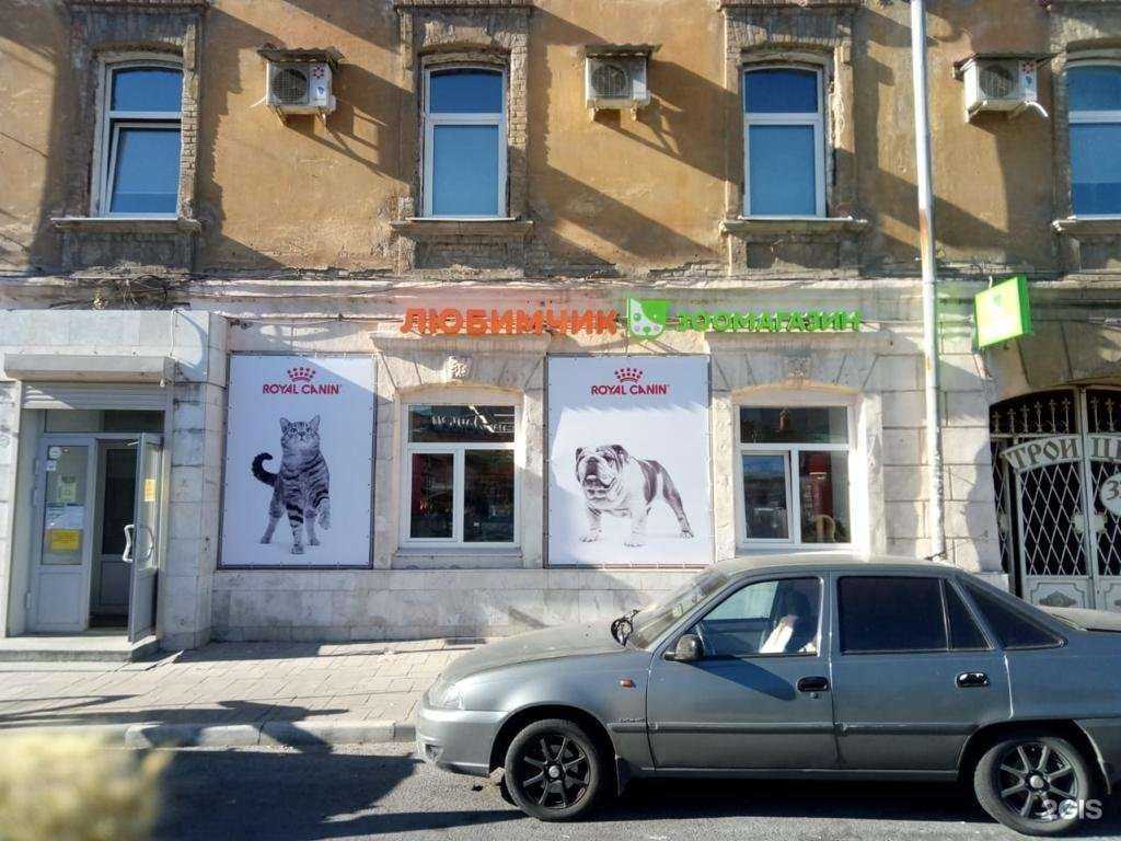 Отзывы на компанию Любимчик в Самаре c фото